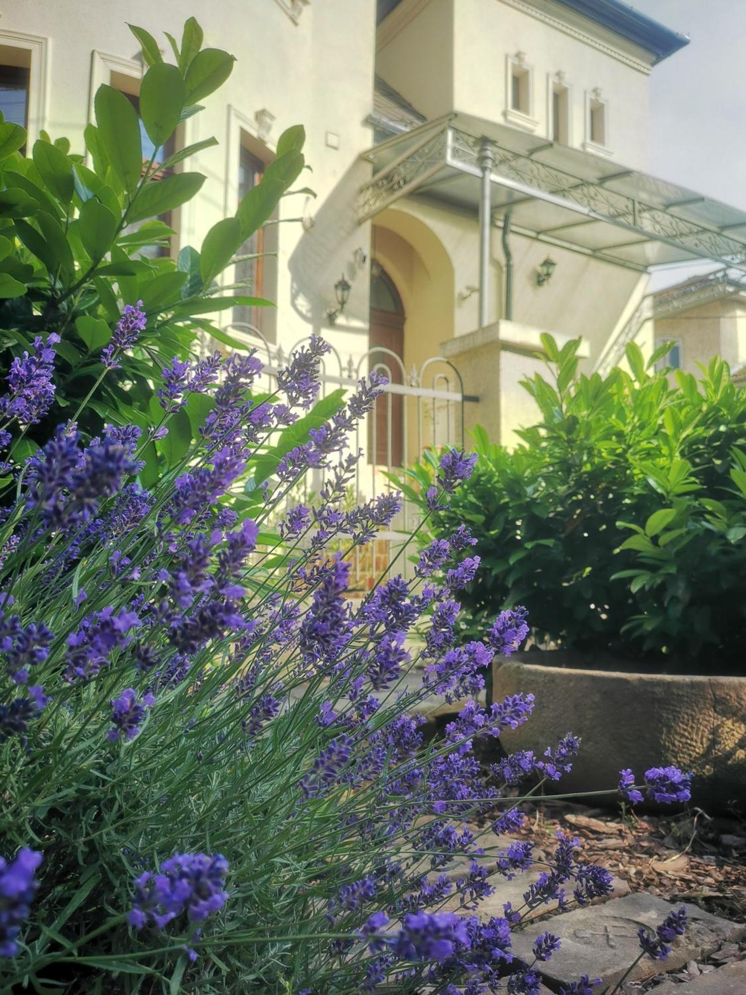 Kuria Apartman With Private Jacuzzi And Pool Budapest Bagian luar foto