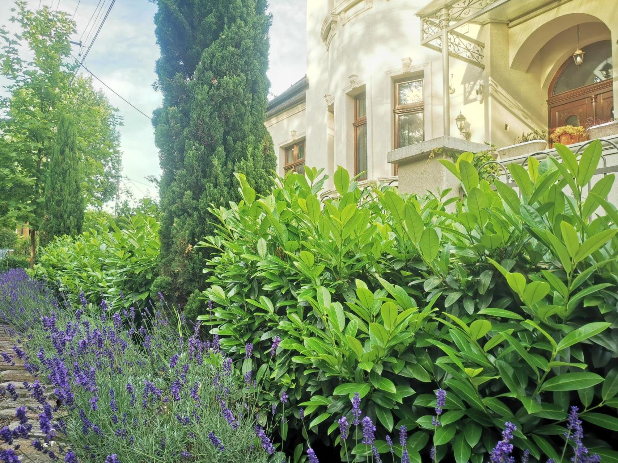 Kuria Apartman With Private Jacuzzi And Pool Budapest Bagian luar foto